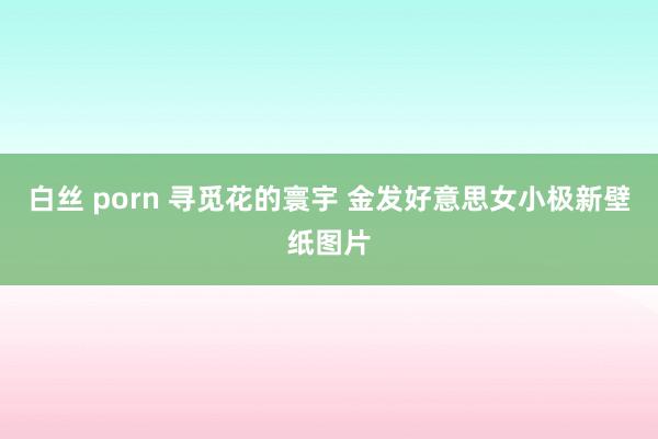 白丝 porn 寻觅花的寰宇 金发好意思女小极新壁纸图片