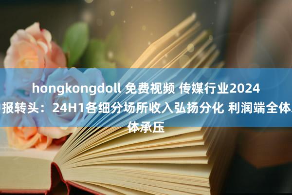 hongkongdoll 免费视频 传媒行业2024年中报转头：24H1各细分场所收入弘扬分化 利润端全体承压