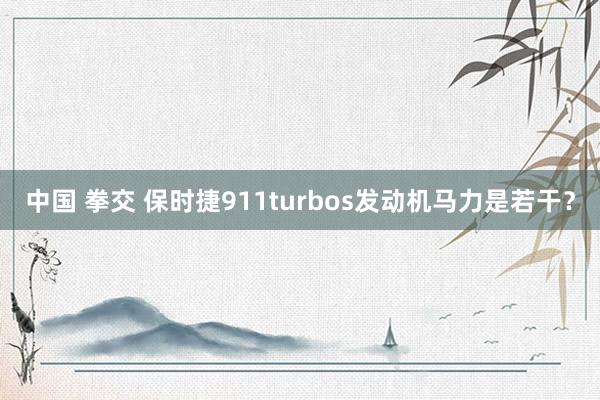 中国 拳交 保时捷911turbos发动机马力是若干？