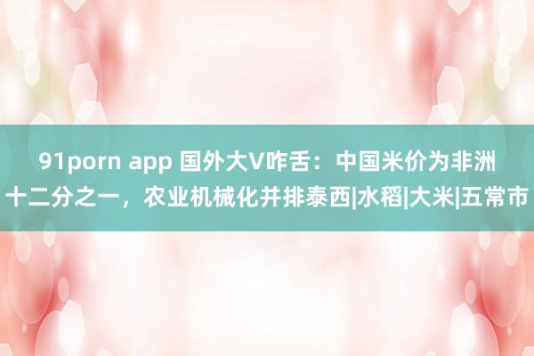 91porn app 国外大V咋舌：中国米价为非洲十二分之一，农业机械化并排泰西|水稻|大米|五常市