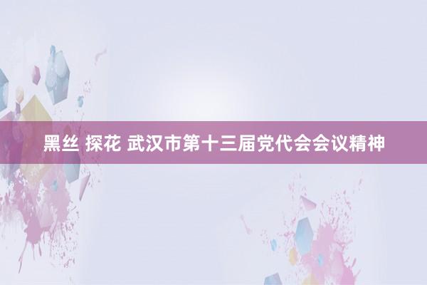 黑丝 探花 武汉市第十三届党代会会议精神